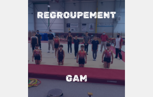 Regroupement GAM n°1 - Compte rendu