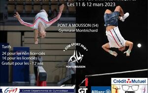 Chpt Dep Équipes Performance - 11 et 12 mars 2023 - Pont-à-Mousson